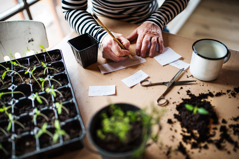 cunard gardening cruise