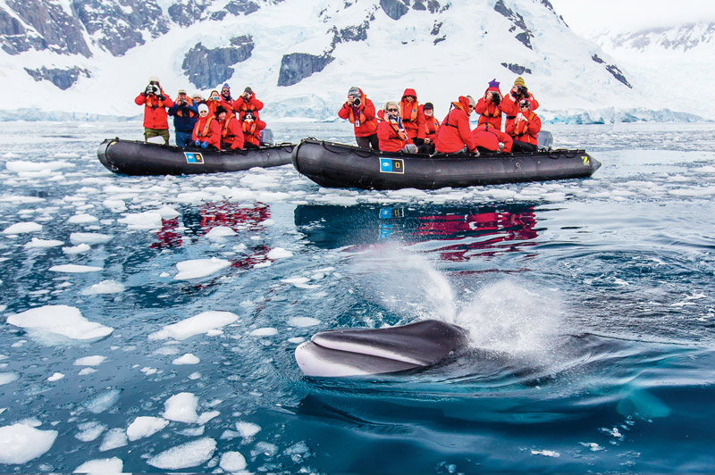 Zodiac excursion with Lindblad-National Geographic