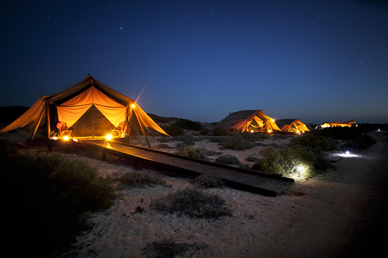 Ningaloo Reef by night, Sal Salis