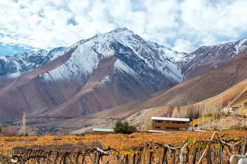 Syrah and Pisco in the Elqui Valley