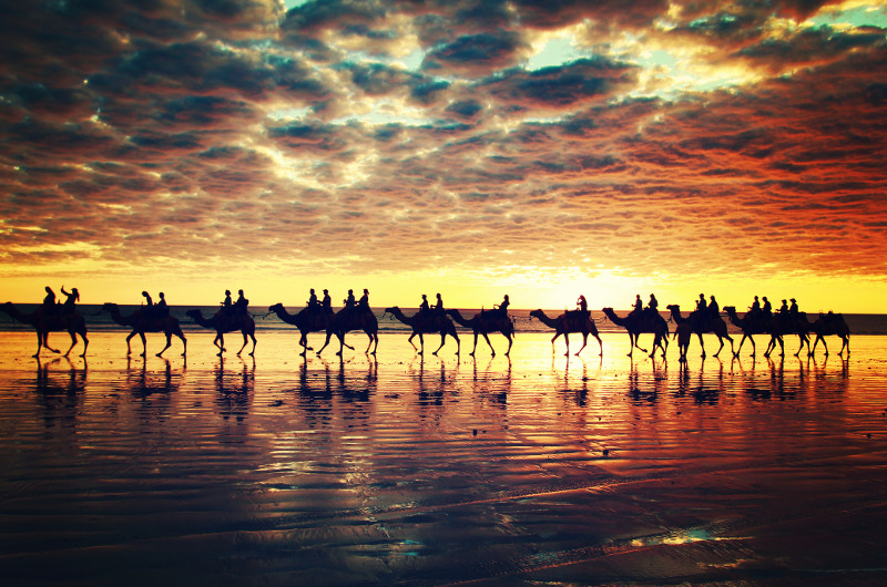 Sunset camelback ride along Cable Beach, Broome