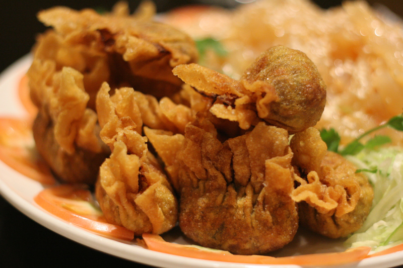 Deep fried wonton