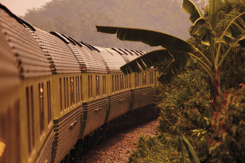 The Belmond Eastern Oriental Express passes by palm trees and jungle