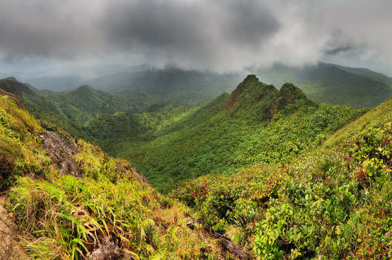 El Yunque Puerto Rico