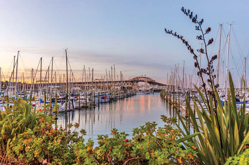 Whitehaven Marina, Auckland