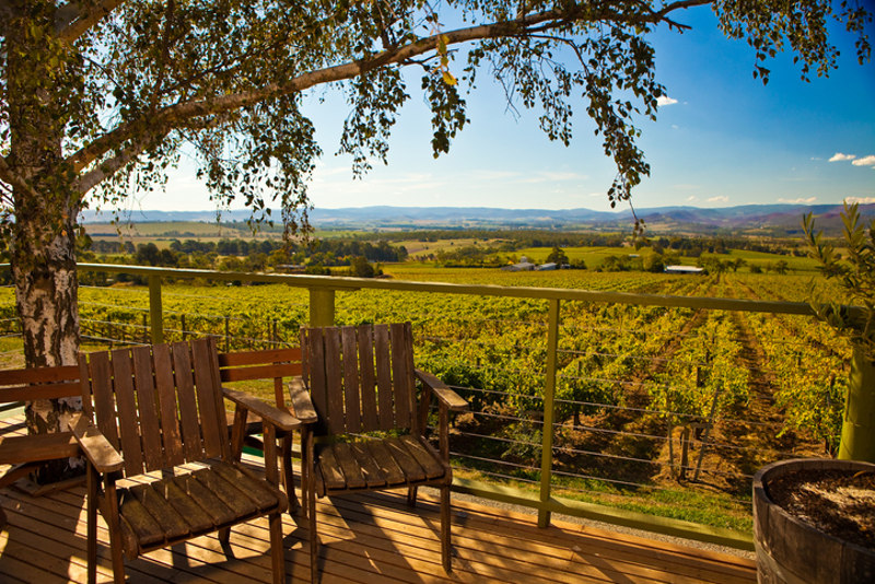 Australian vineyard