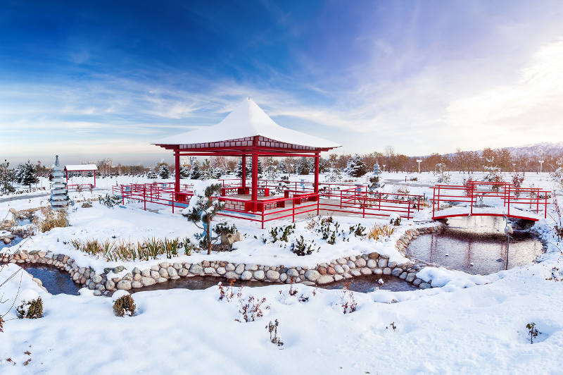 Japan winter