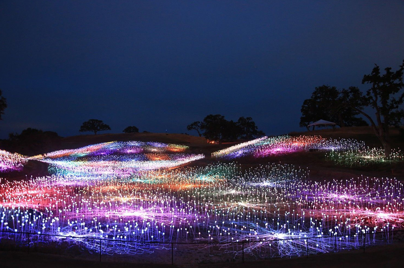 Field of Lights, Uluru