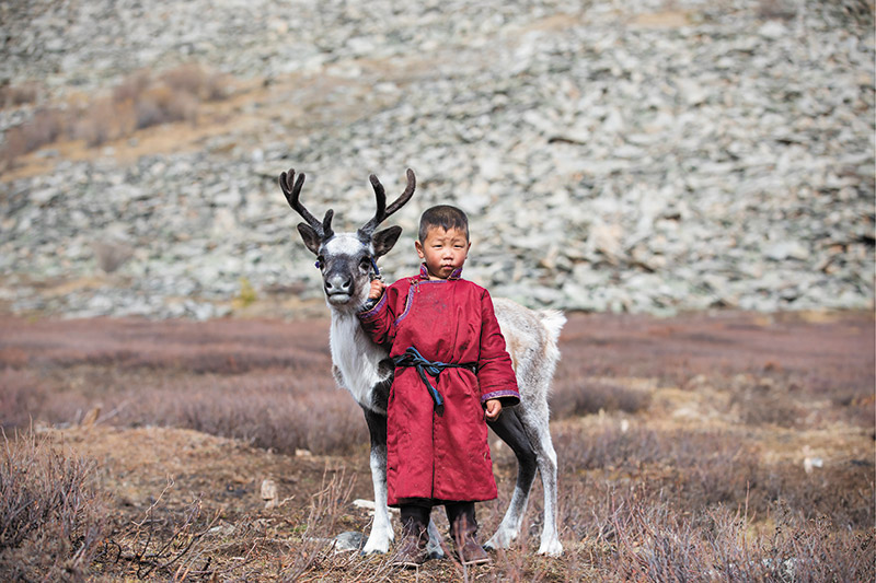 Reindeer Tribes of Mongolia