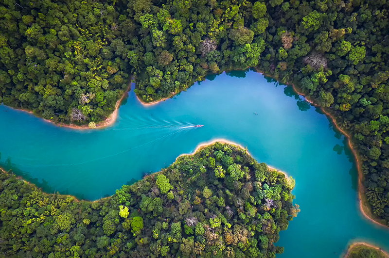 Amazon River