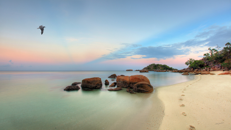 TA Reef Dining Lizard Island