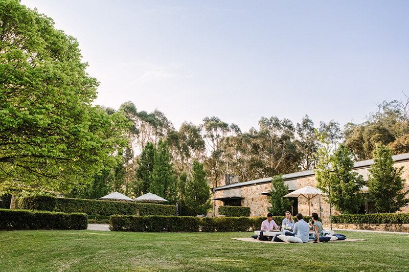 Golding Wines, Adelaide Hills Wine Region