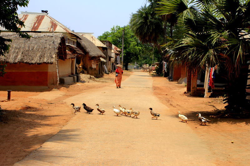 Ganges Village