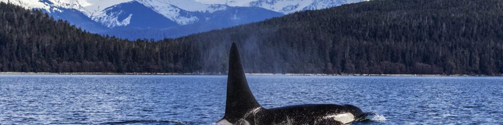 Inside Passage Alaska