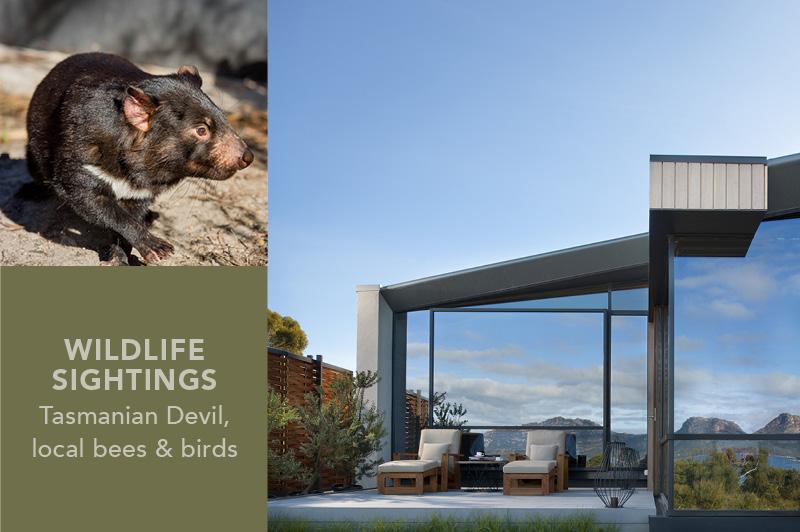 Saffire Freycinet, TAS Saffire Freycinet, TAS