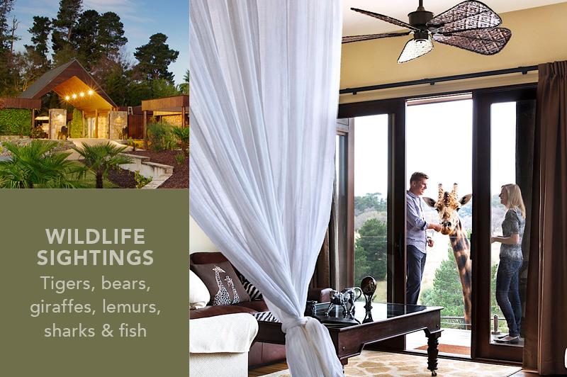 Jamala Wildlife Lodge, ACT Jamala Wildlife Lodge, ACT