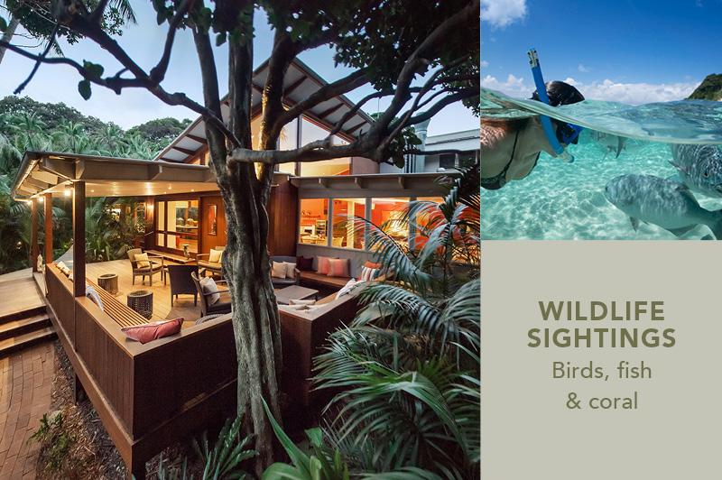 Arajilla Retreat, Lord Howe Island Arajilla Retreat, Lord Howe Island