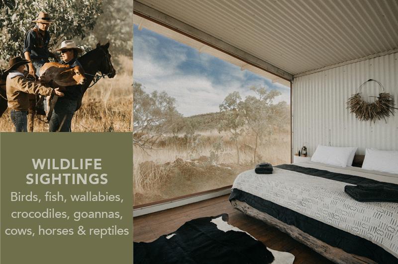 Bullo River Station, NT Bullo River Station, NT