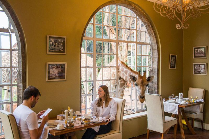 Giraffe Manor, The Safari Collection Giraffe Manor, The Safari Collection