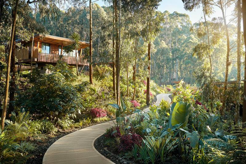 One&Only Gorilla’s Nest Lodge, Rwanda One&Only Gorilla’s Nest Lodge, Rwanda