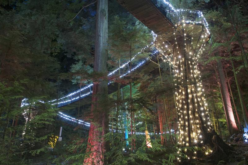 The Capilano Canyon Lights