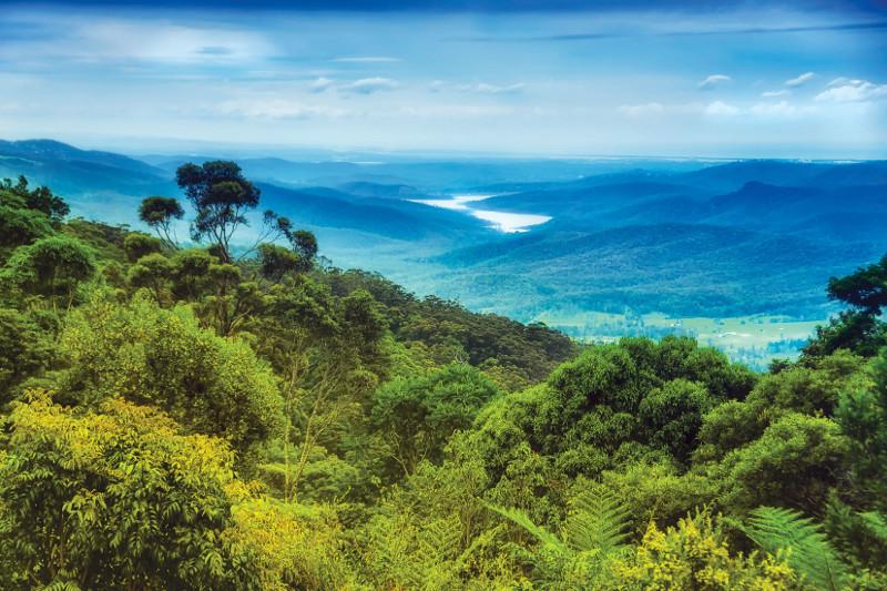 Lamington National Park