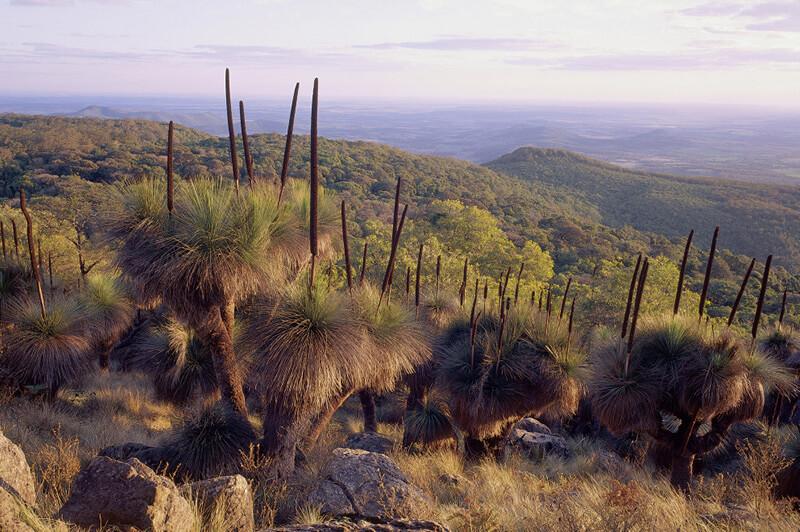 Bunya Mountains, Queensland Bunya Mountains, Queensland