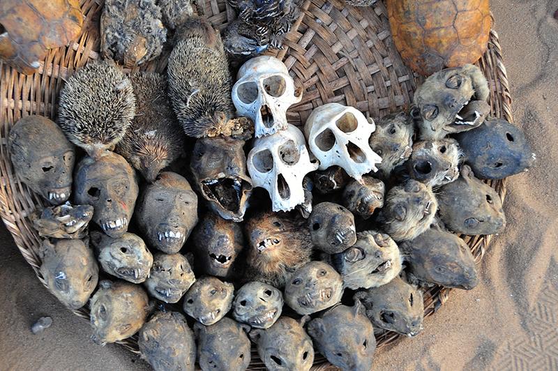 Akodessewa Festish Market Akodessewa Festish Market