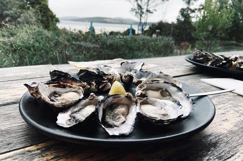 Get Shucked Oysters on Bruny Island, Tasmania (image credit @jellydhmin) Get Shucked Oysters on Bruny Island, Tasmania (image credit @jellydhmin)