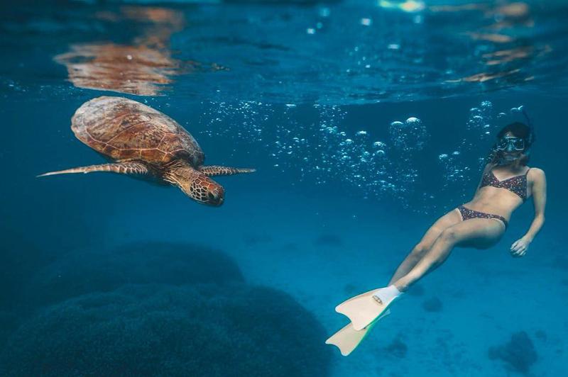 Heron Island - image by @jenrowleyyy Heron Island - image by @jenrowleyyy