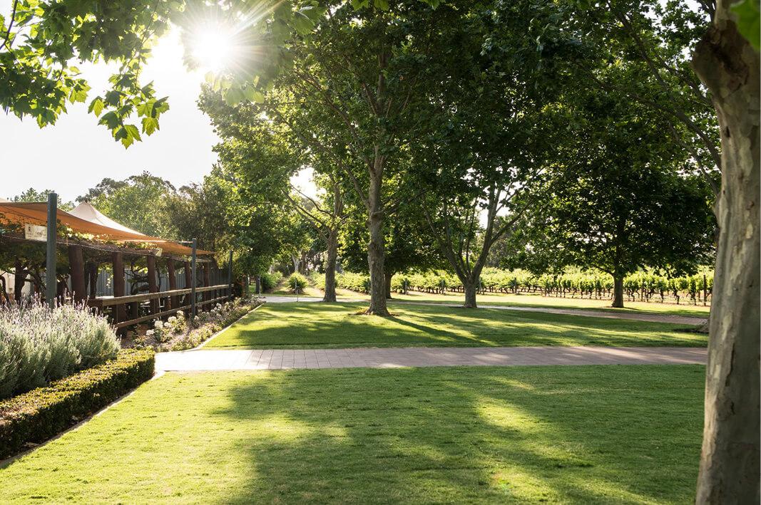 Swan valley - Sandalford