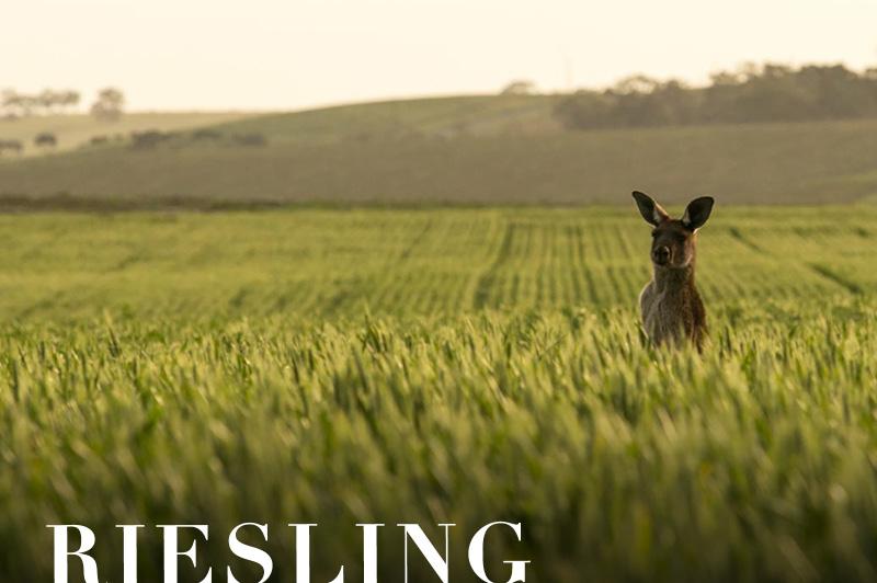 Clare Valley (image courtesy of South Australia Tourism) Clare Valley (image courtesy of South Australia Tourism)