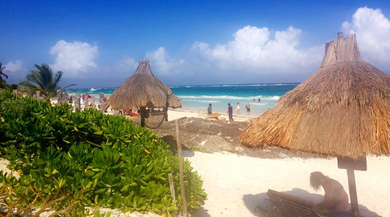 local food in mexico