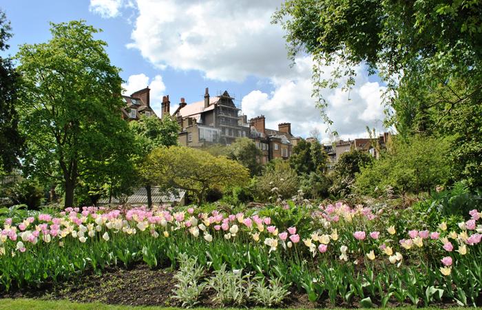Chelsea Psychic Garden