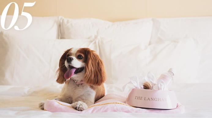 The Langham, Sydney The Langham, Sydney