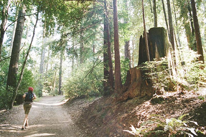 Camp Grounded Hiking Ground