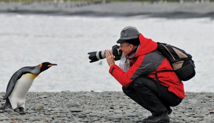 Recognising the broad variety of passions of adventure travellers, Silversea Expeditions has launched new collections of speciality expeditions, focusing on pursuits like photography. Source: Silversea