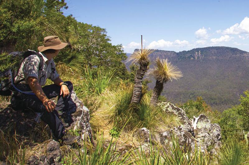 Scenic Rim Trail Scenic Rim Trail