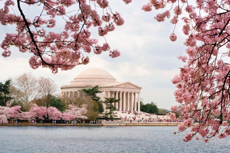 Looking at the Jefferson Memorial from the shore